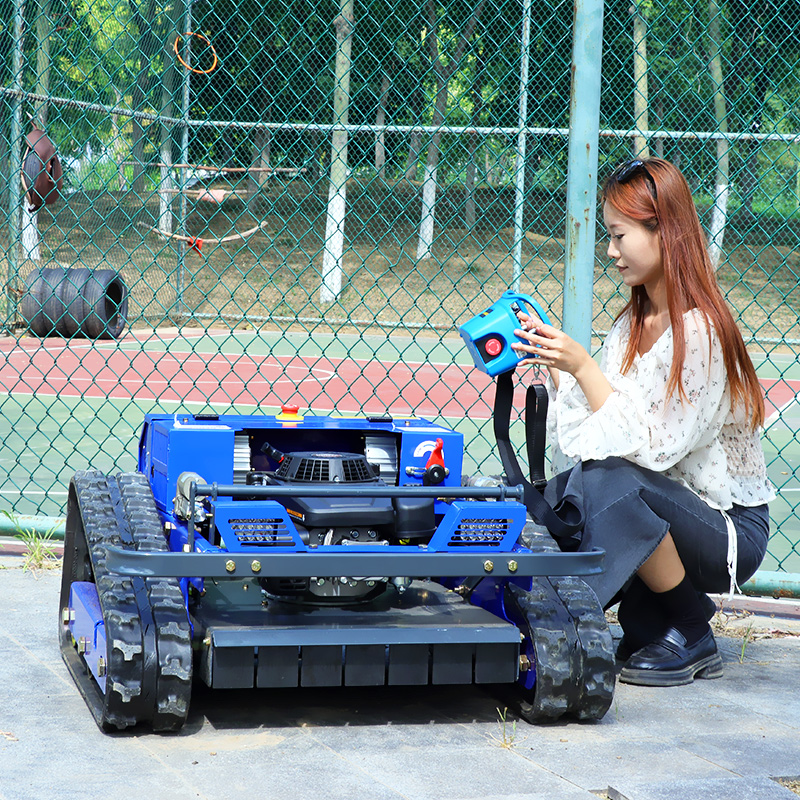 Power Tools Professional - Customized High Power Remote Control Lawn